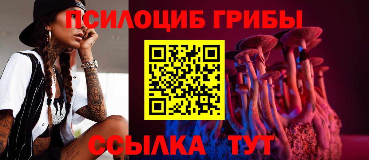 Галлюциногенные грибы Cubensis Кизилюрт